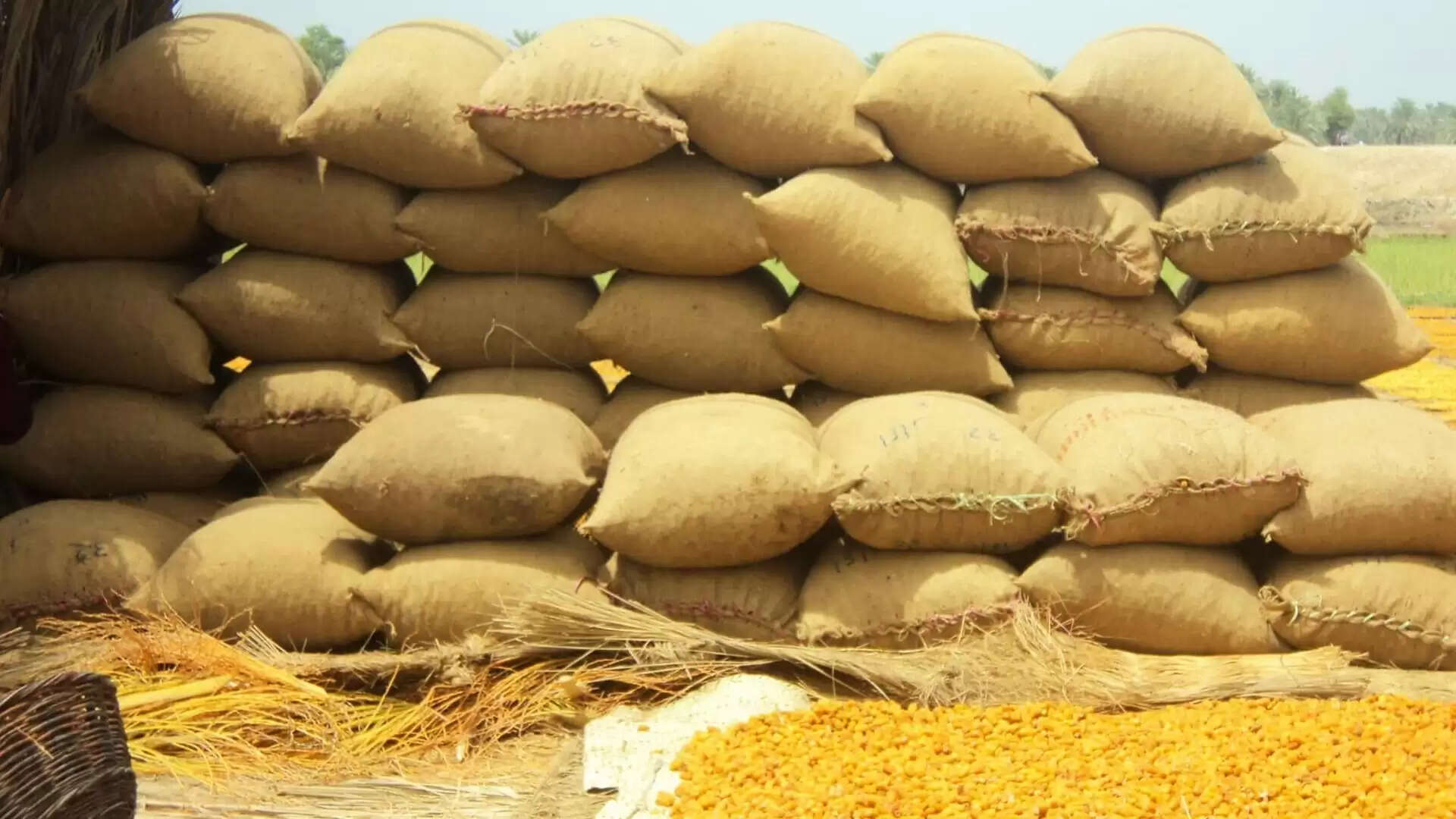 நெல் கொள்முதல் இன்று முதல் தொடக்கம்