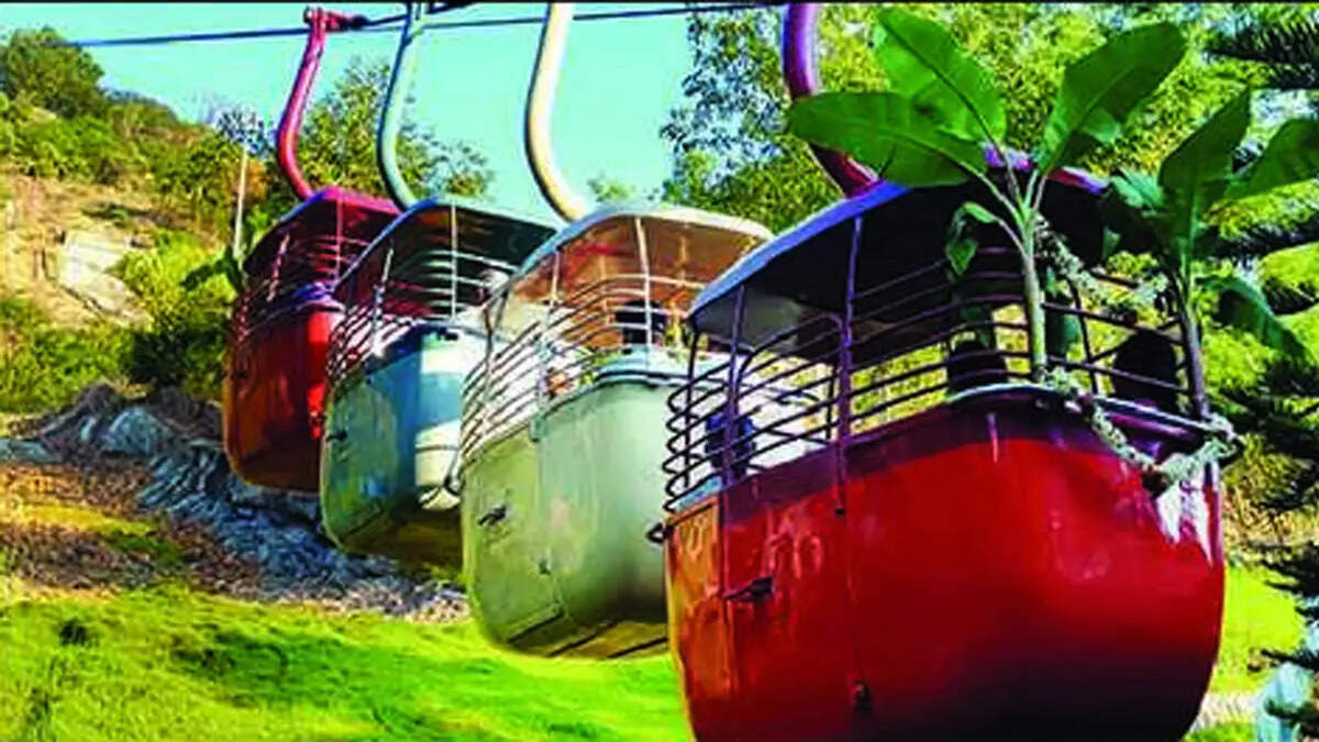 பழனி கோயிலில்  ரோப் கார் சேவைகள் ரத்து!