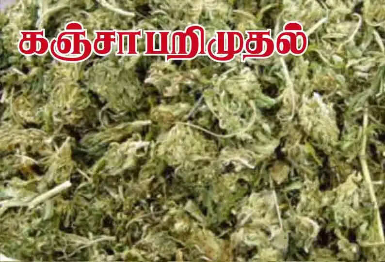 சொகுசு காரில் கஞ்சா கடத்திய இளைஞர்கள்! காவல்துறை கைது!