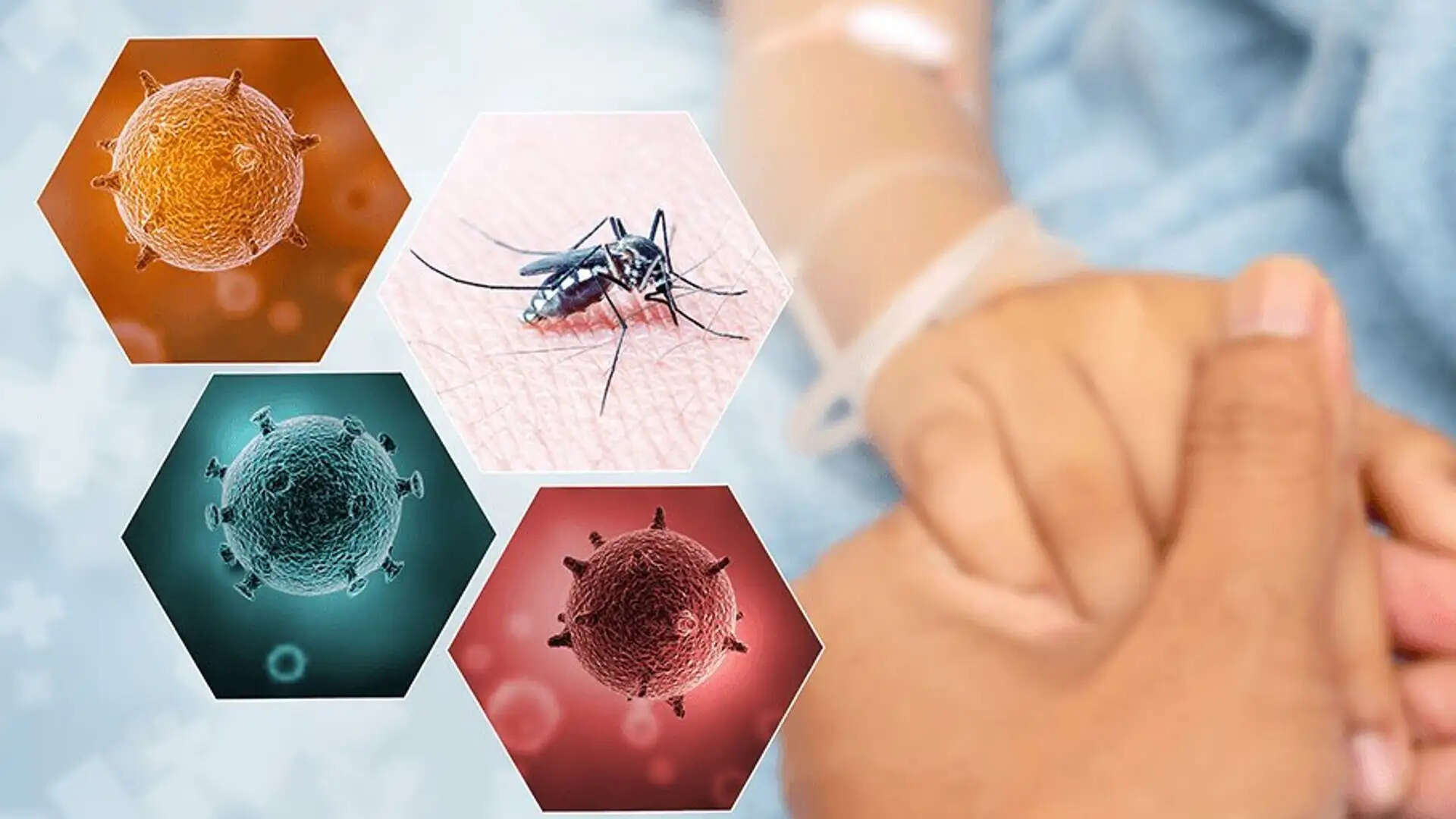 உஷார்! அதிகரிக்கும் டெங்கு ! நிரம்பி வழியும் வார்டுகள்!