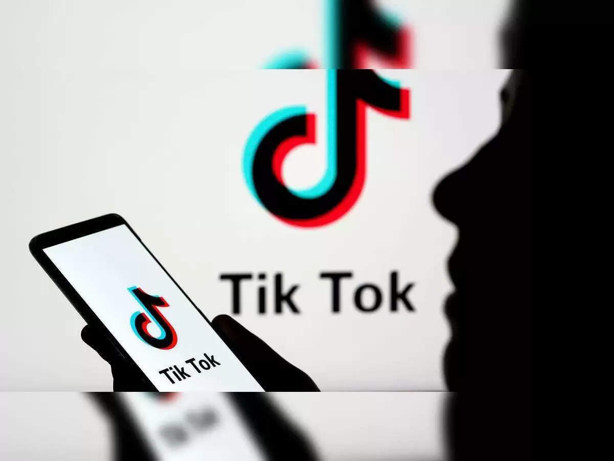 டிக் டாக் பிரபலம் திவ்யா அதிரடி கைது!