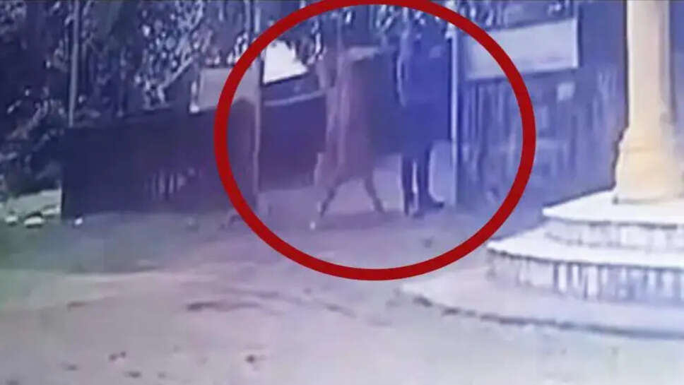 காதலன் மேல் ஆசிட் வீச்சு!! காதலி  பரபரப்பு வாக்குமூலம்!!