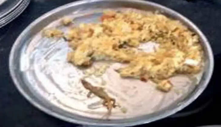 மதிய உணவில் பல்லி!! சமையலரின் மெத்தனத்தால் 80 மாணவர்களுக்கு உடல் நலக் குறைபாடு!!