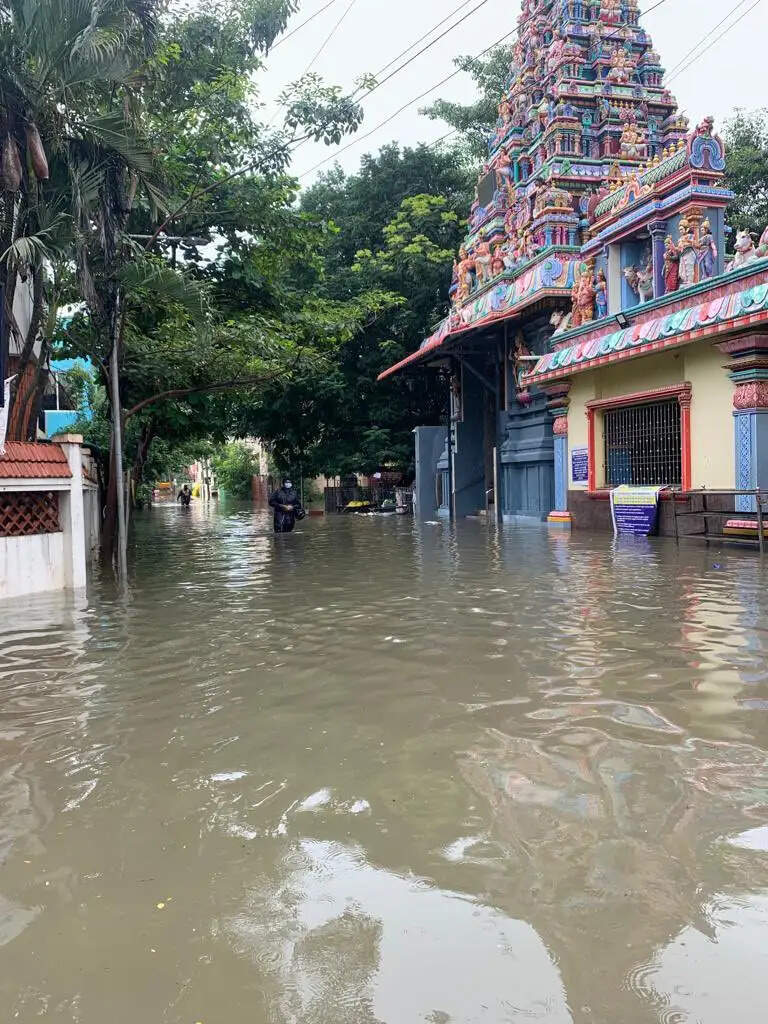 சென்னையில் ஏரியா வாரியாக பாம்பு பிடிப்பவர்களின் பட்டியல்!