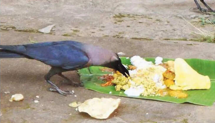 அமாவாசை அன்று மறந்தும்  இதை மட்டும் செய்யாதீங்க!