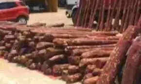 செம்மர கடத்தல் ! சுற்றி வளைத்த காவல்துறை! கிடுக்கி பிடி விசாரனையில் கடத்தல் காரர்கள்!