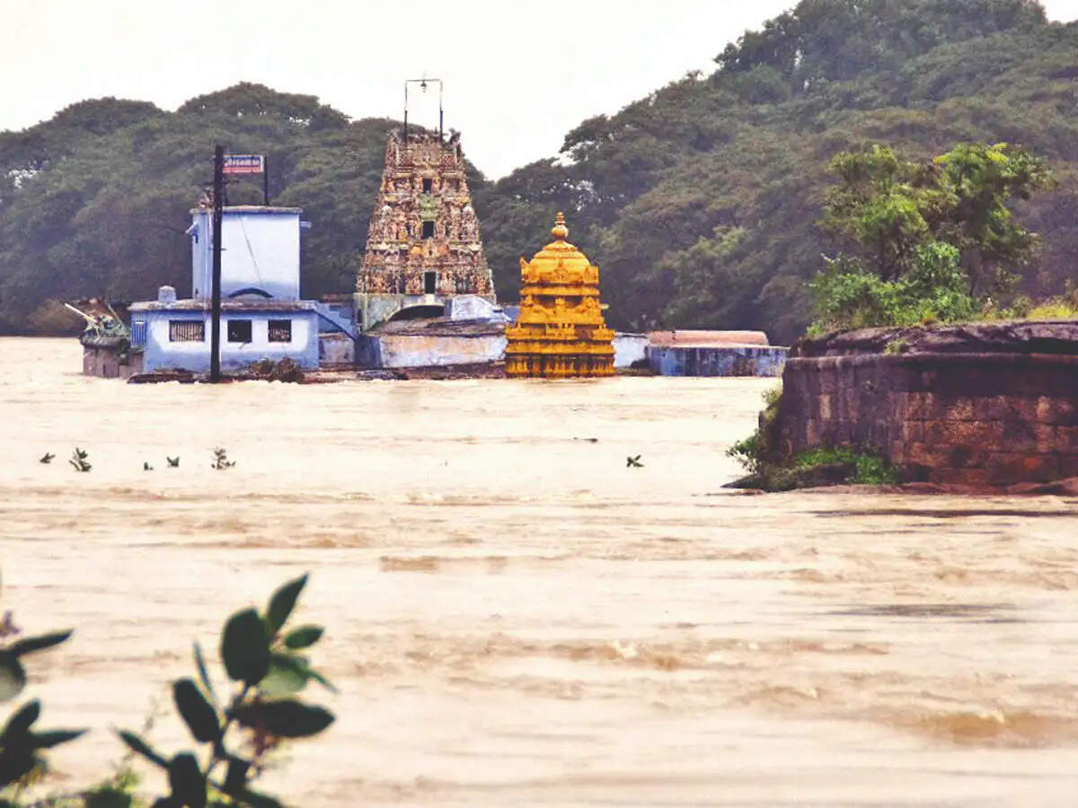நீரில் மூழ்கிய முருகன் கோவில்! தாமிரபரணி ஆற்றில் கரைபுரண்டு ஓடும் வெள்ளம்