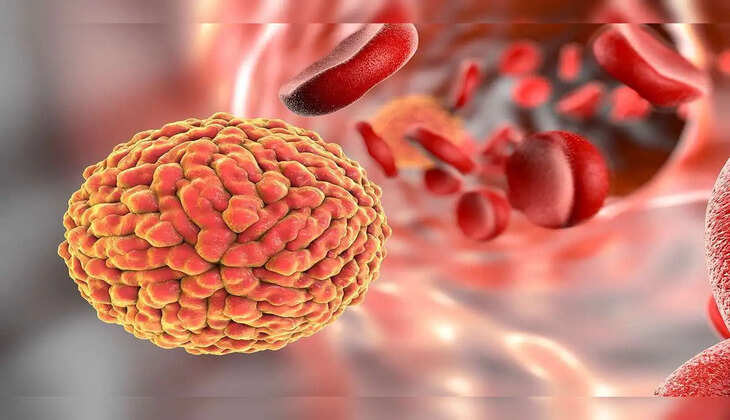 உஷார்!கொரோனாவை அடுத்து வரும் டெங்கு, ஜிகா வைரஸ்கள்! இந்த மாவட்டங்களில் பாதுகாப்பு தீவிரம் !!