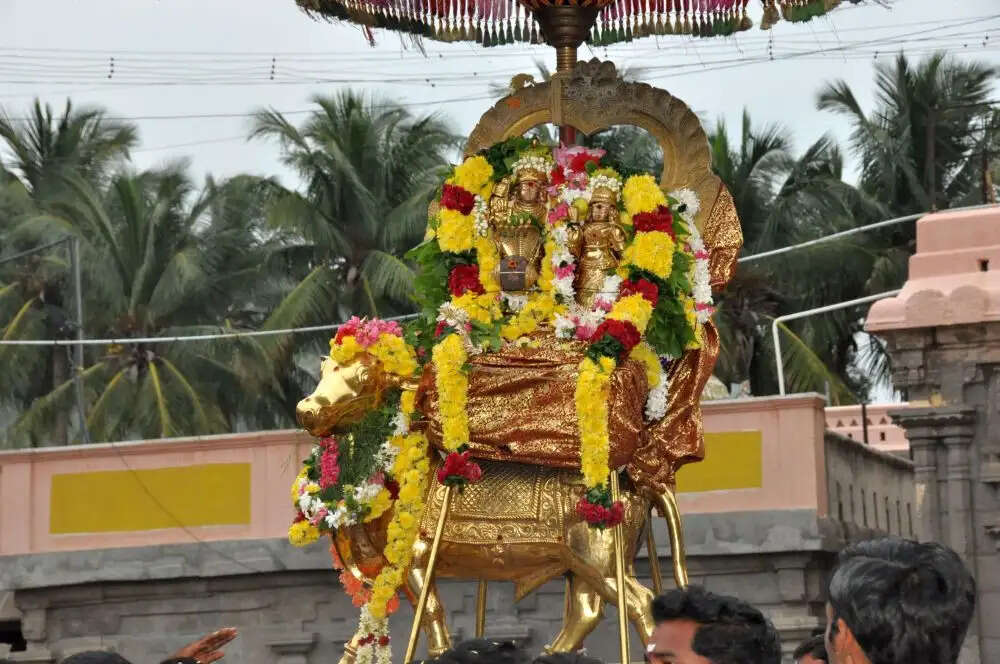 இன்று சனி பிரதோஷம் விரதம் இருப்பது எப்படி?