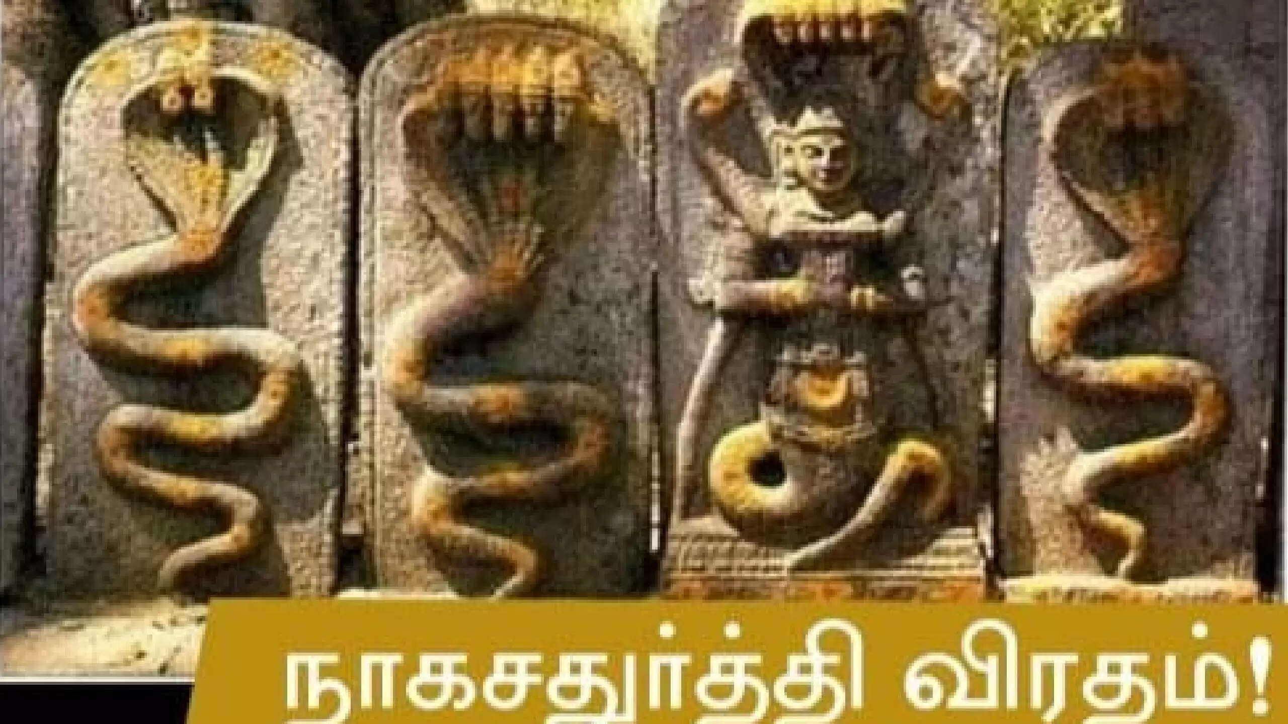 இன்று நாக சதுர்த்தி! கொஞ்சம் பசும்பால் போதும்! உங்க தோஷம் காணாம போயிடும்!