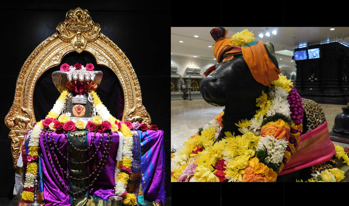 செல்வ வளம் தரும் சனிப்பிரதோஷம் மகிமைகள்!