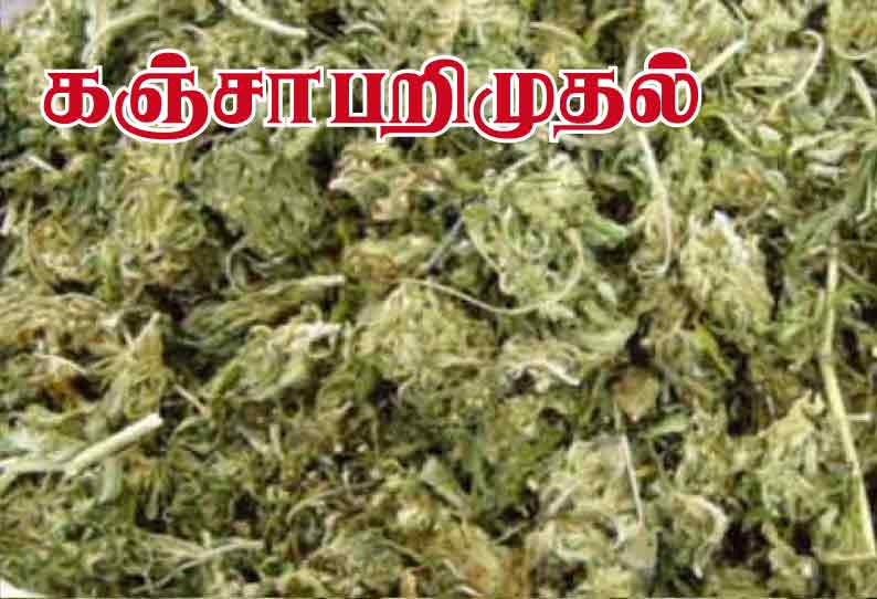 தமிழகத்தில் அடுத்தடுத்து அதிர்ச்சி... கஞ்சா கடத்தி வந்த 4 பேர் கைது!