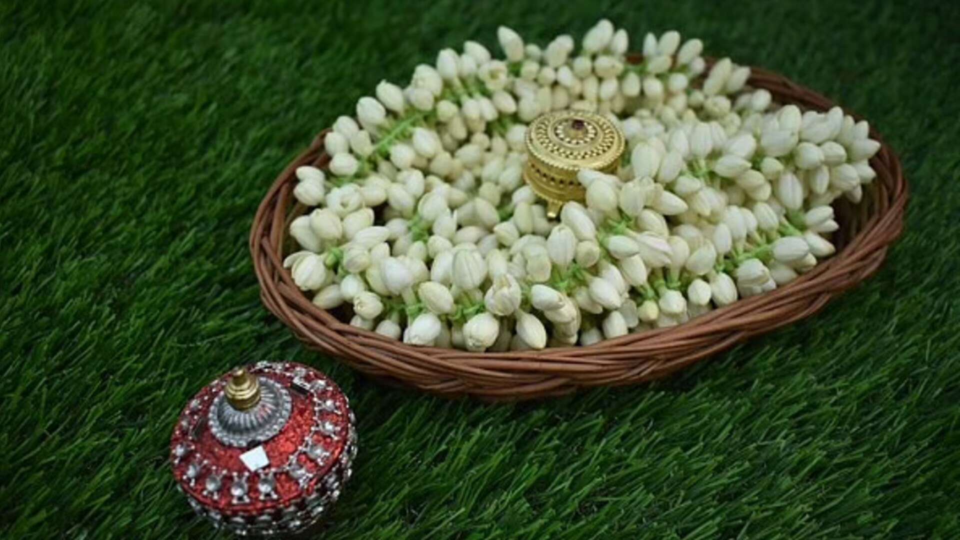 ஓணம் கொண்டாட்டம்! துரத்தும் கனமழை! மதுரைமல்லி ஒரு கிலோ ரூ.3,000!