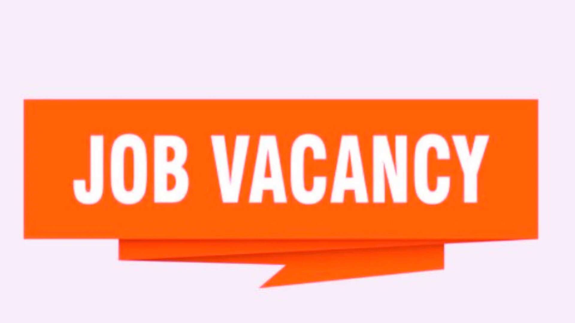 டிகிரி முடிச்சிருந்தா போதும்... பிரபல வங்கியில் 1036 காலிப்பணியிடங்கள்... ஜூன் 7 கடைசி தேதி!