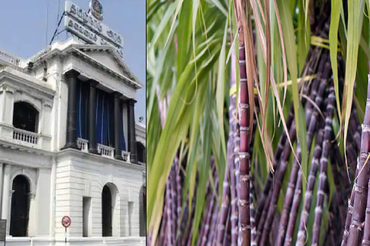 யார் யாருக்கு பொங்கல் பரிசு ரூ.1,000 கிடைக்காது? தமிழக அரசு அறிவிப்பு!