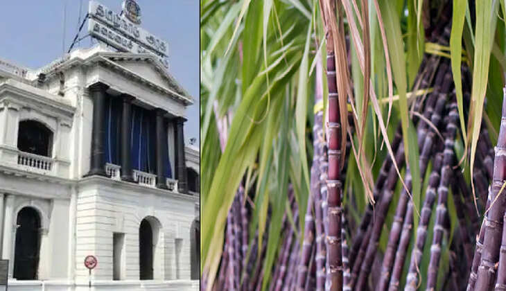 மிஸ் பண்ணாதீங்க!! தமிழகம் முழுவதும் பொங்கல் விடுமுறைக்கான முன்பதிவு தொடக்கம்!