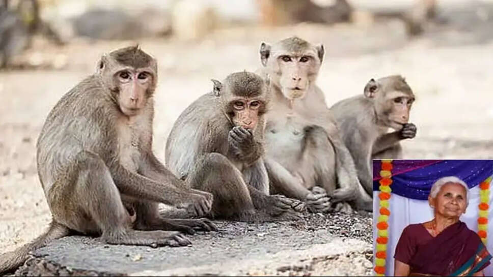 ஆந்திரா