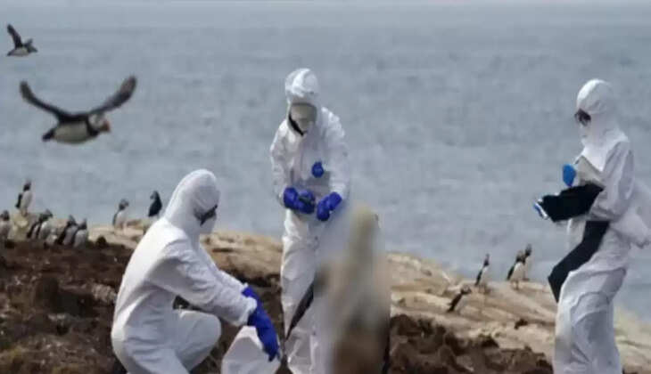 பறவைக்காய்ச்சல்