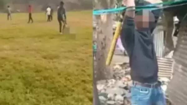 நாயை அடிக்கும் வீடியோ