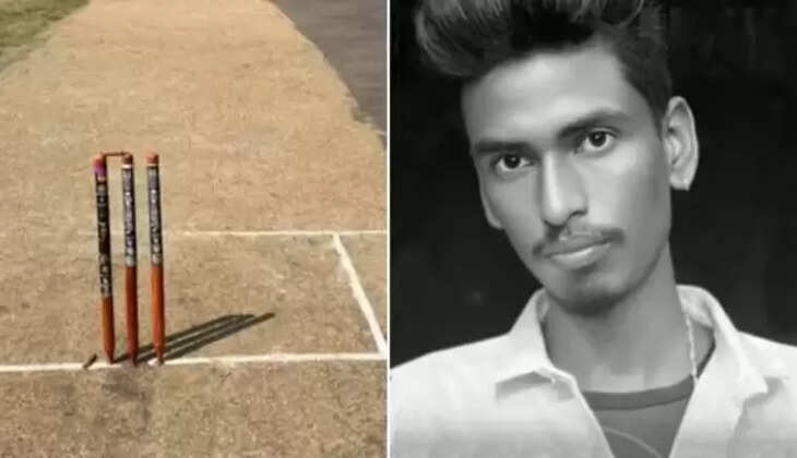 கிரிக்கெட்