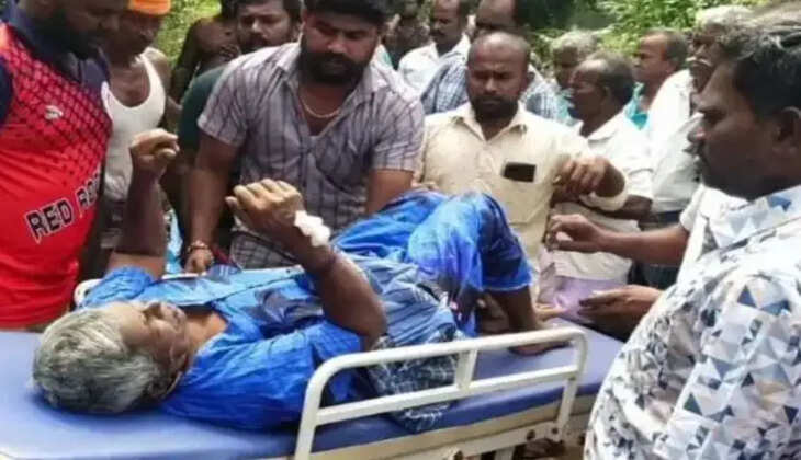 சின்னம்மாள்