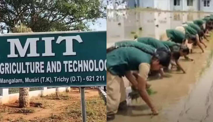 நெல் நட்ட 2 ஆயிரம் மாணவர்கள் 