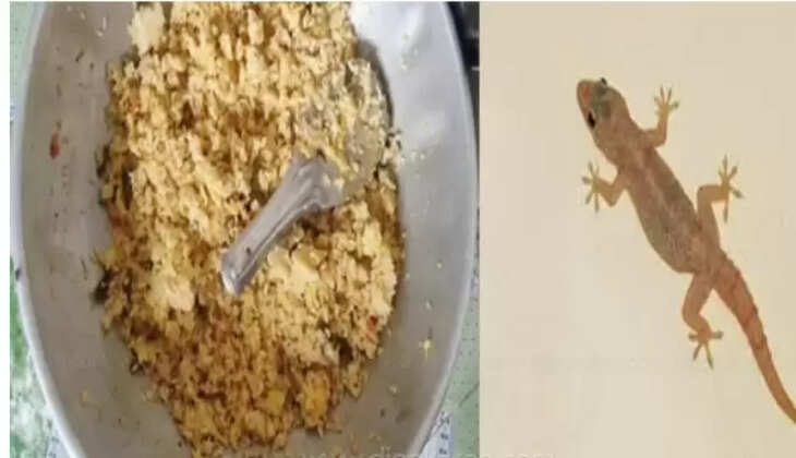 சத்துணவு