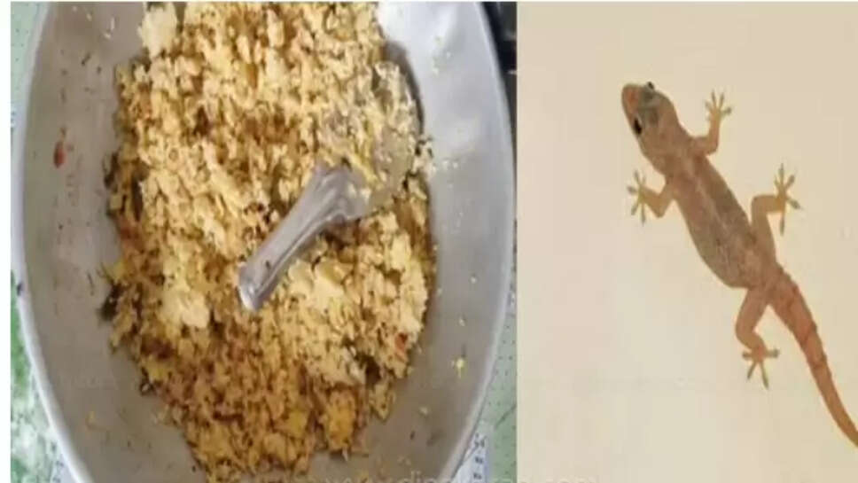 சத்துணவு