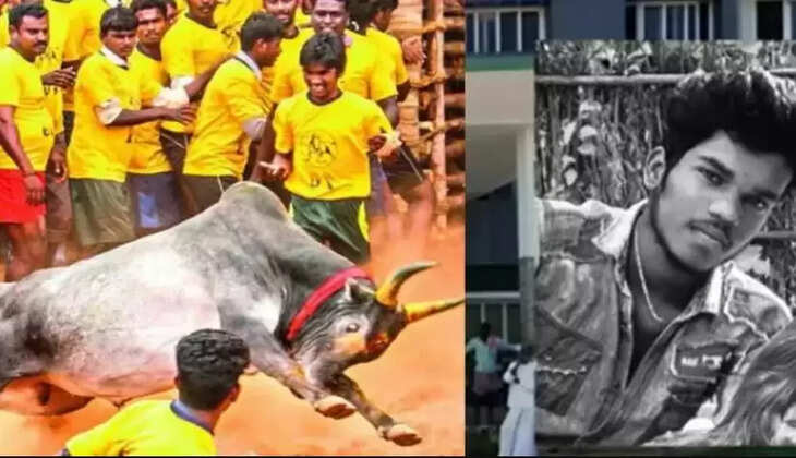 ஜல்லிக்கட்டு