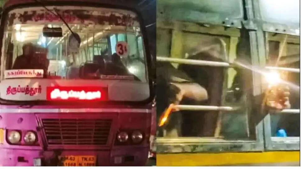 arasu 
