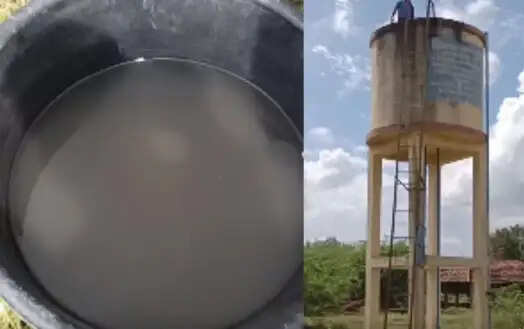 வேங்கை வயல்