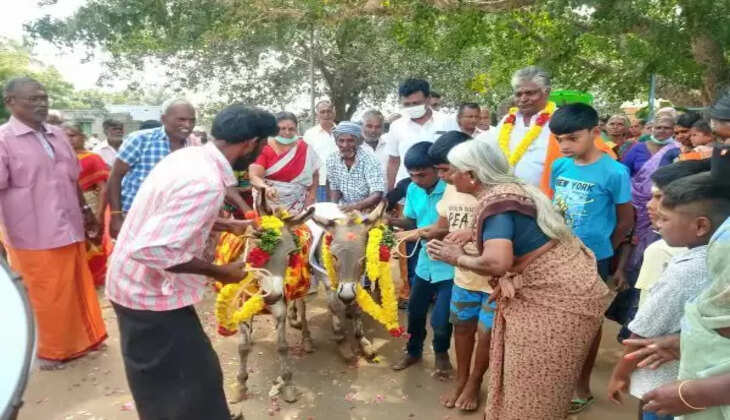 கழுதைக்கு திருமணம்