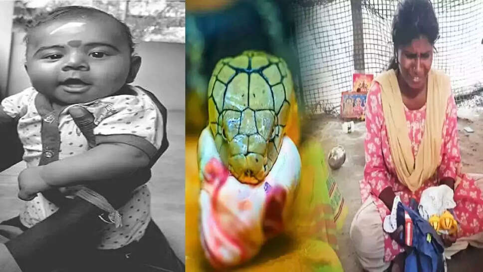 குழந்தை நாகம்