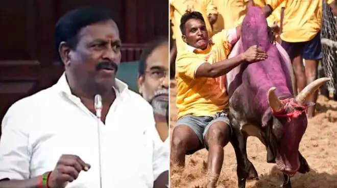 ஜல்லிக்கட்டு