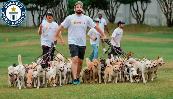 நாய்கள்