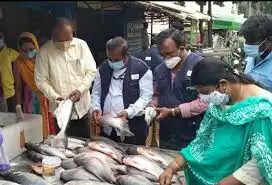 மீன் ஆய்வு 