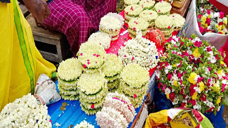 malli மல்லி மல்லிகை