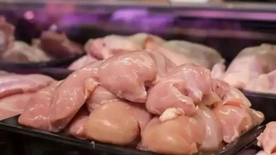 இறைச்சி கோழி சிக்கன் கறிக்கோழி