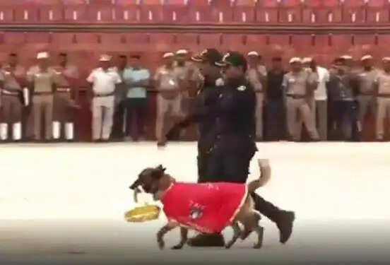ரா