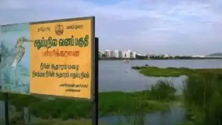 பள்ளிக்கரணை சதுப்பு நிலம் வனப்பகுதி