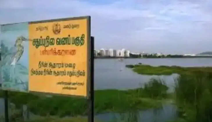 பள்ளிக்கரணை சதுப்பு நிலம் வனப்பகுதி