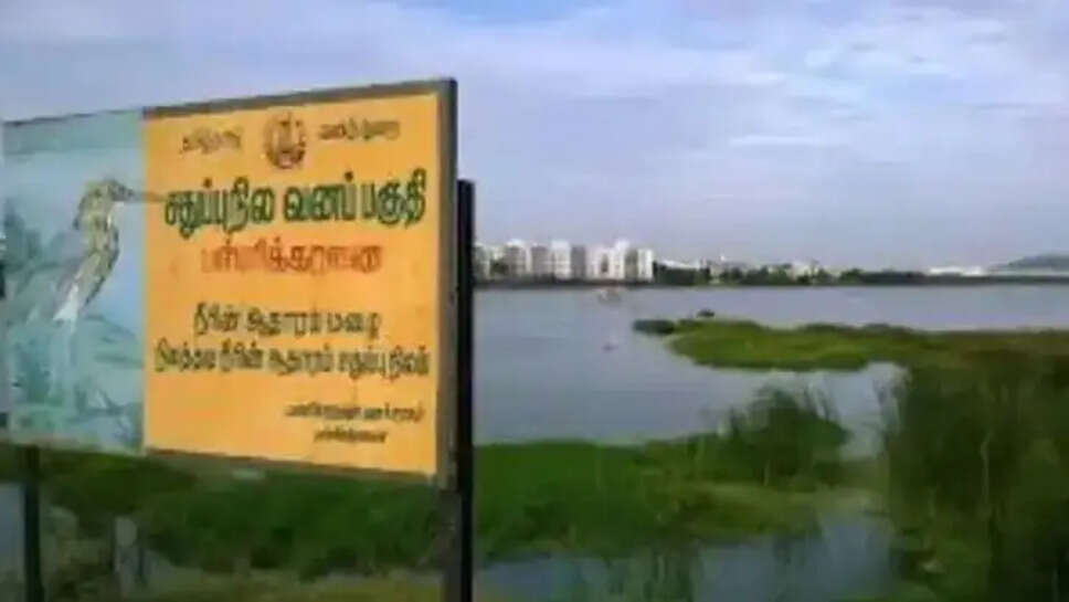 பள்ளிக்கரணை சதுப்பு நிலம் வனப்பகுதி