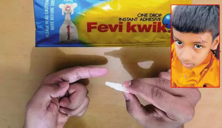 பெவிக்விக்