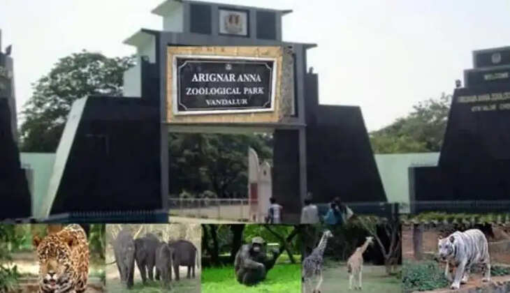 வண்டலூர்