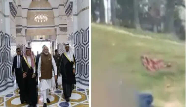 காஷ்மீர்