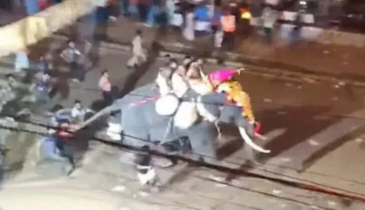 திடீரென மிரண்டு ஓடிய யானை