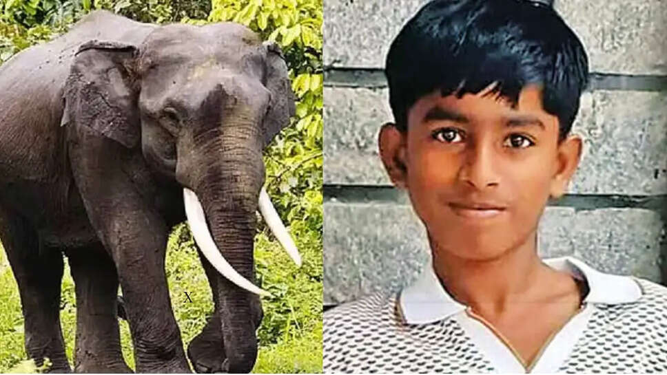 யானை