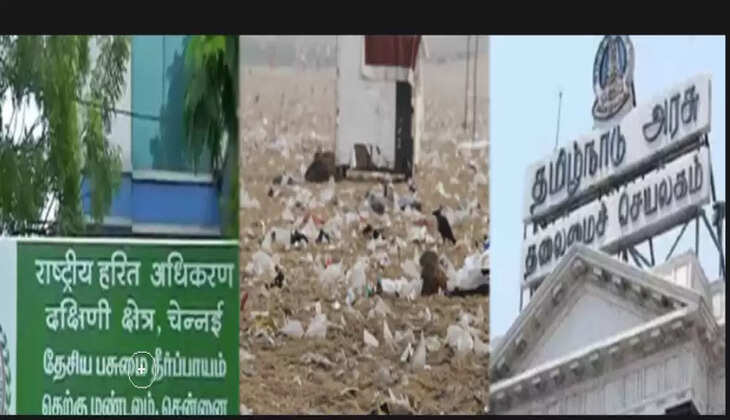 பசுமை தீர்ப்பாயம்