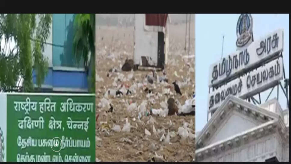 பசுமை தீர்ப்பாயம்