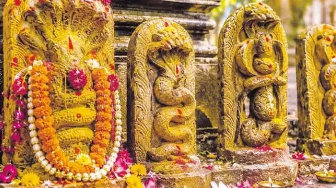 நாக சதுர்த்தி நாகம் பாம்பு